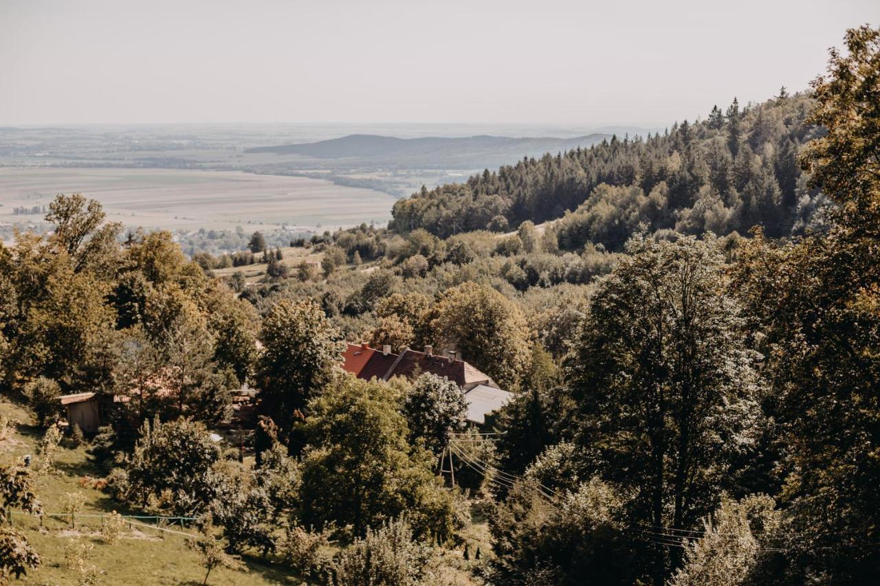 Villa Hubertus Srebrna Góra Εξωτερικό φωτογραφία