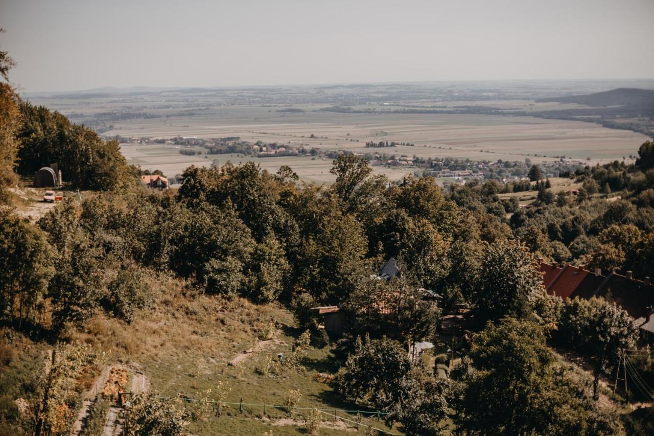 Villa Hubertus Srebrna Góra Εξωτερικό φωτογραφία