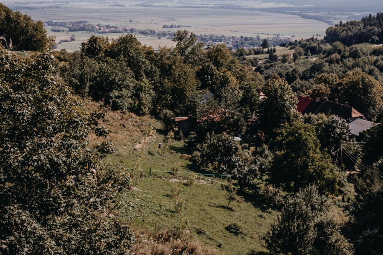 Villa Hubertus Srebrna Góra Εξωτερικό φωτογραφία