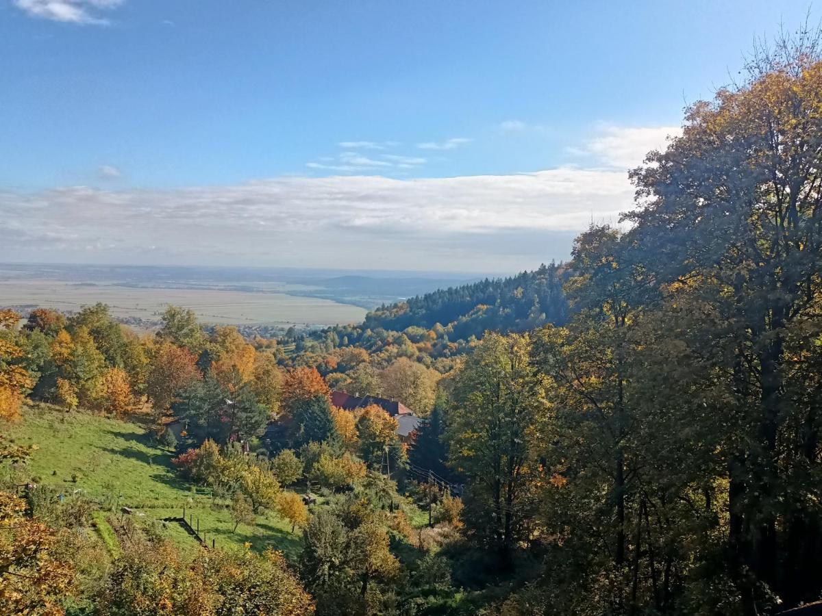 Villa Hubertus Srebrna Góra Εξωτερικό φωτογραφία