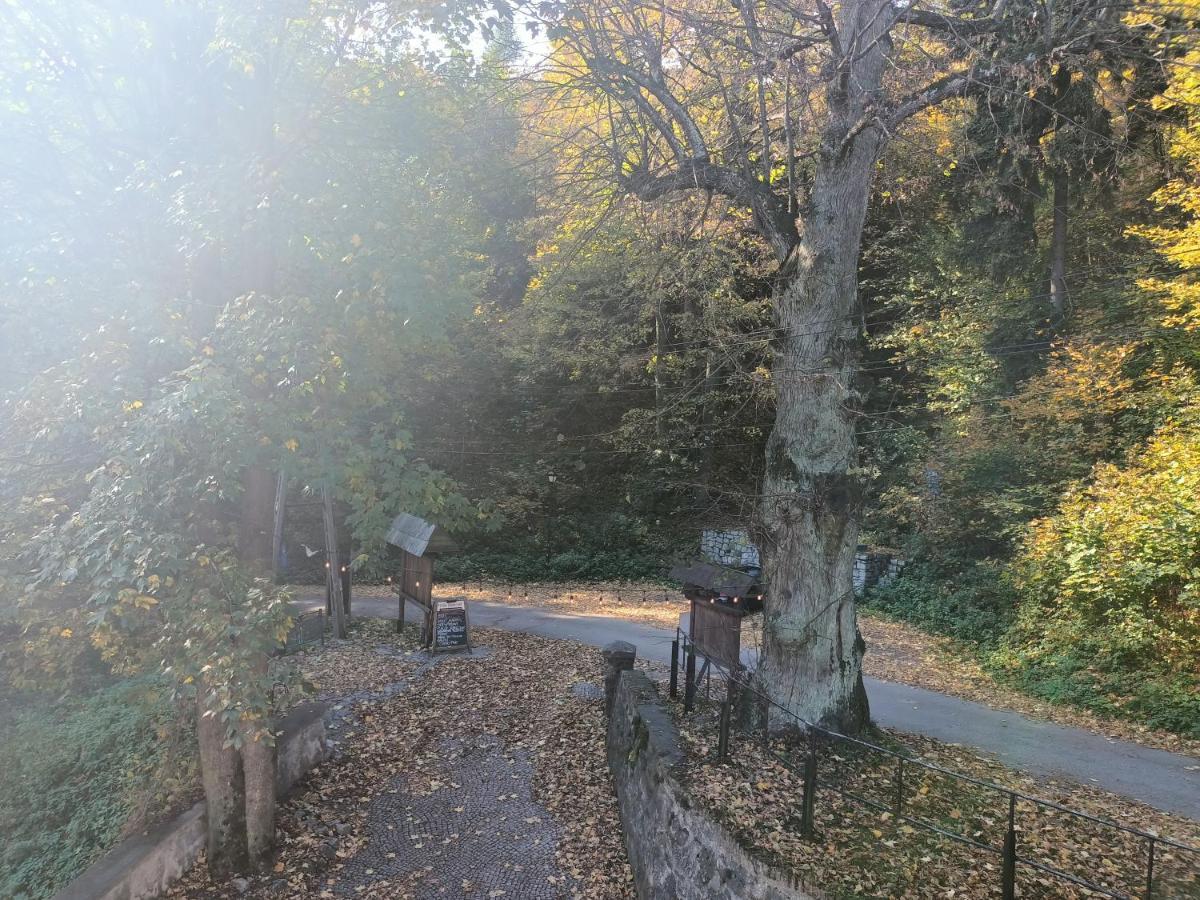 Villa Hubertus Srebrna Góra Εξωτερικό φωτογραφία